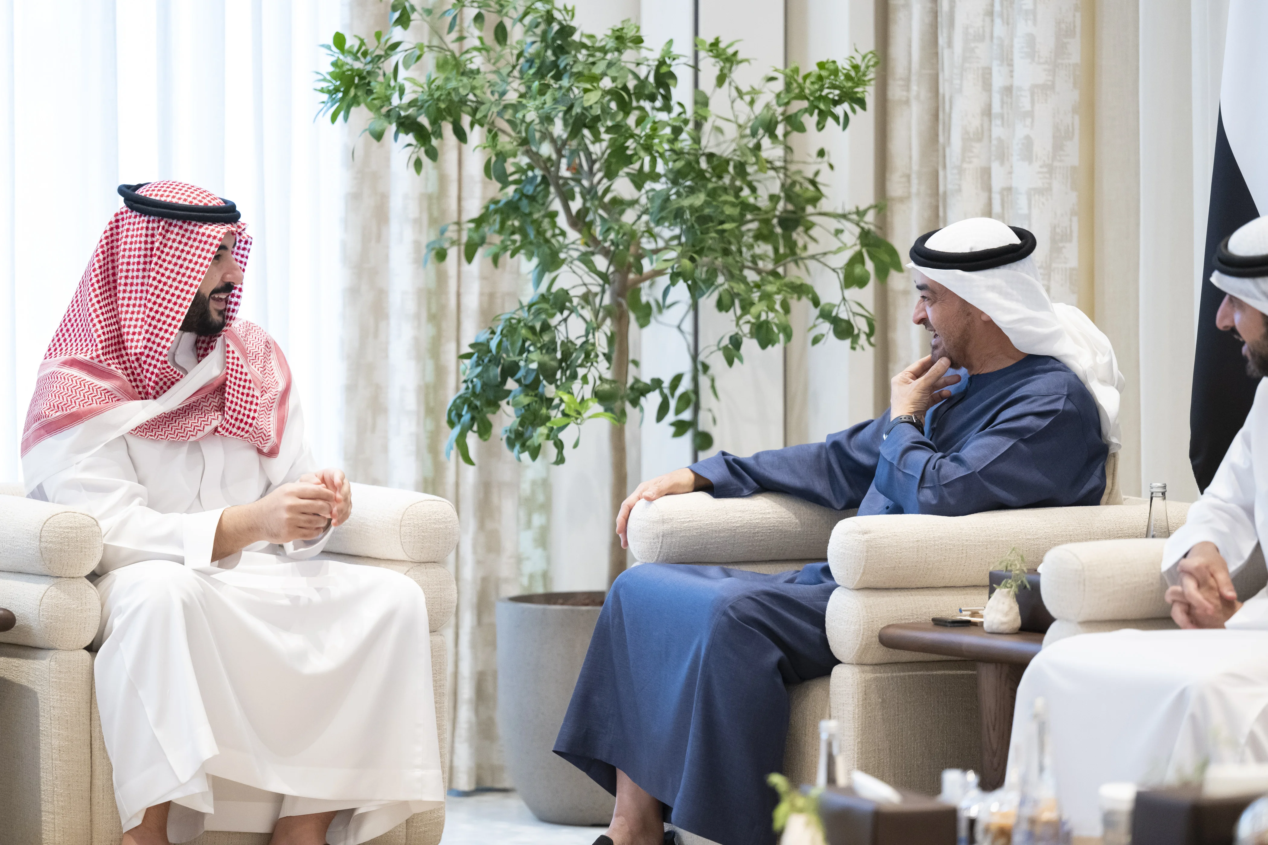 His Highness Sheikh Mohamed bin Zayed Al Nahyan, President of the United Arab Emirates meets with Prince Khalid bin Salman bin Abdulaziz Al Saud, Minister of Defence of Saudi Arabia, at Al Shati Palace, May 2025